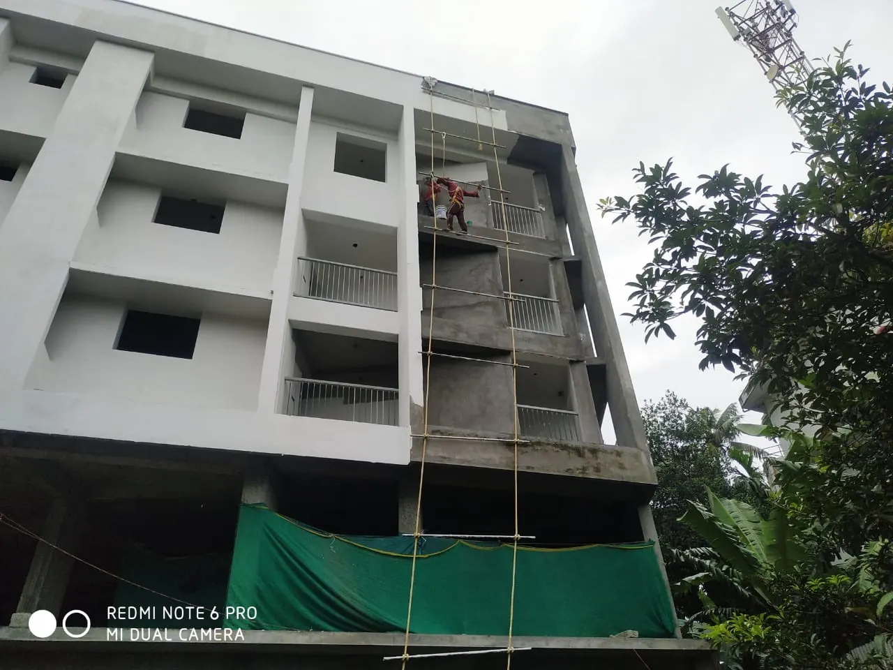 Asian Njp - project image 2
