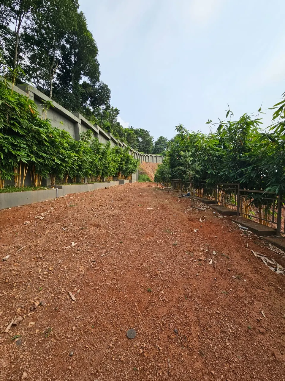 Beverly Hills - project image 4