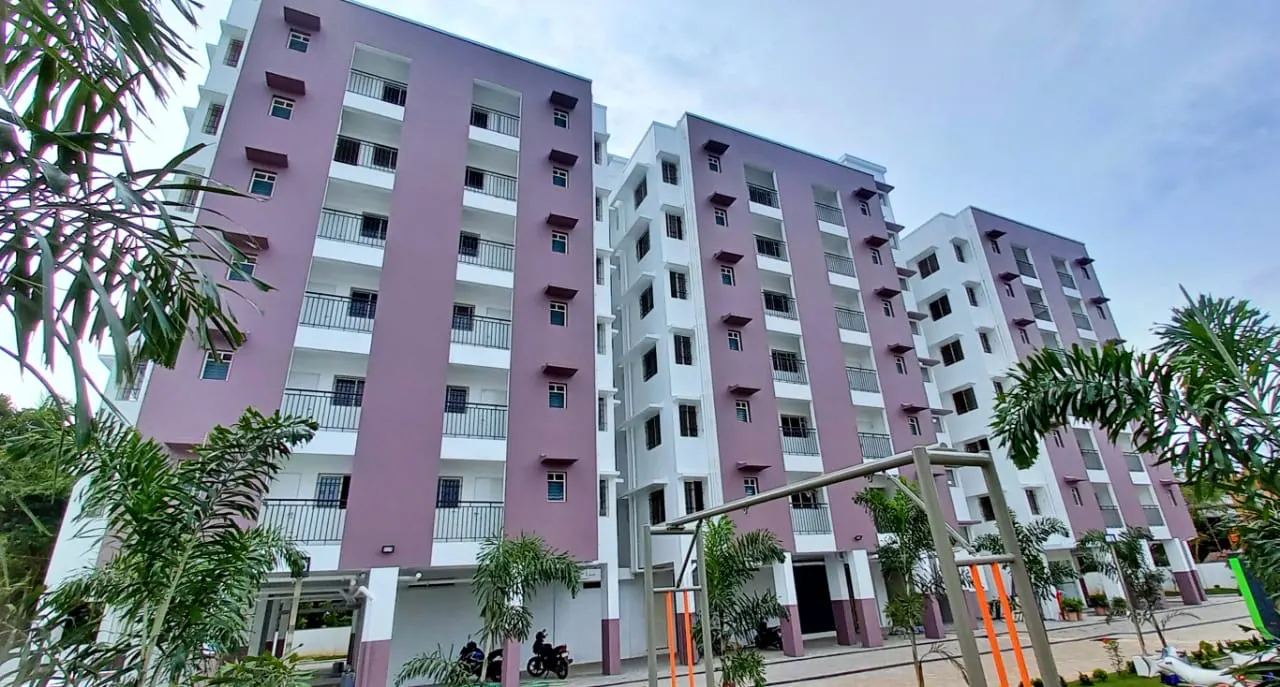 Confident Aster - Kuriachira P O, Thrissur