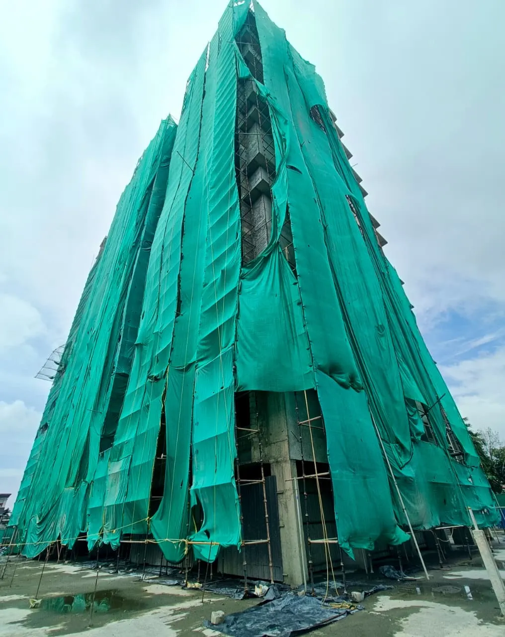 Confident white House - project image 4