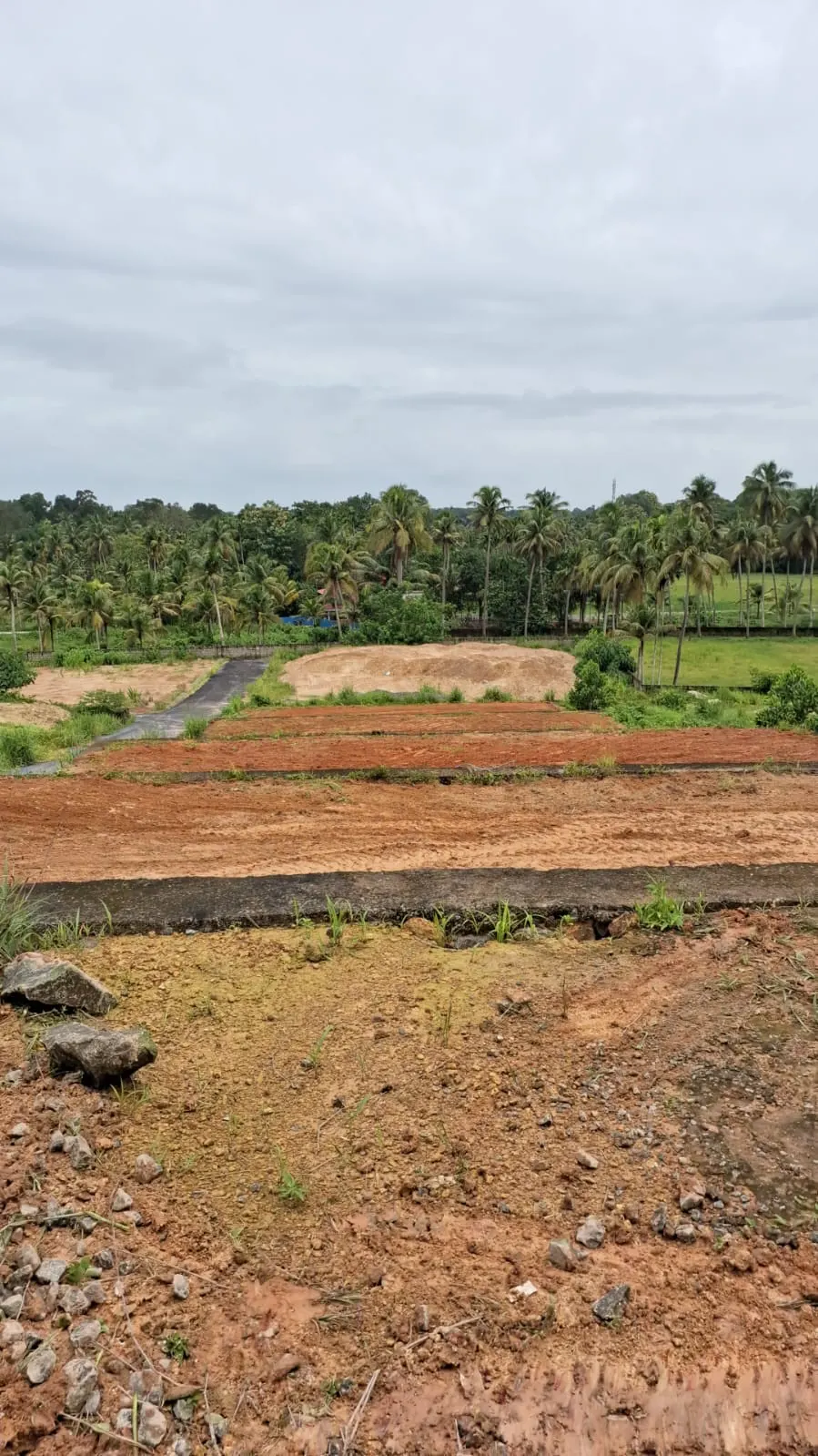 Green View - Injimala, Kochi