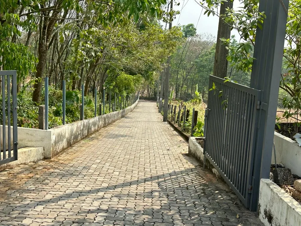 Hill Woods - project image 2