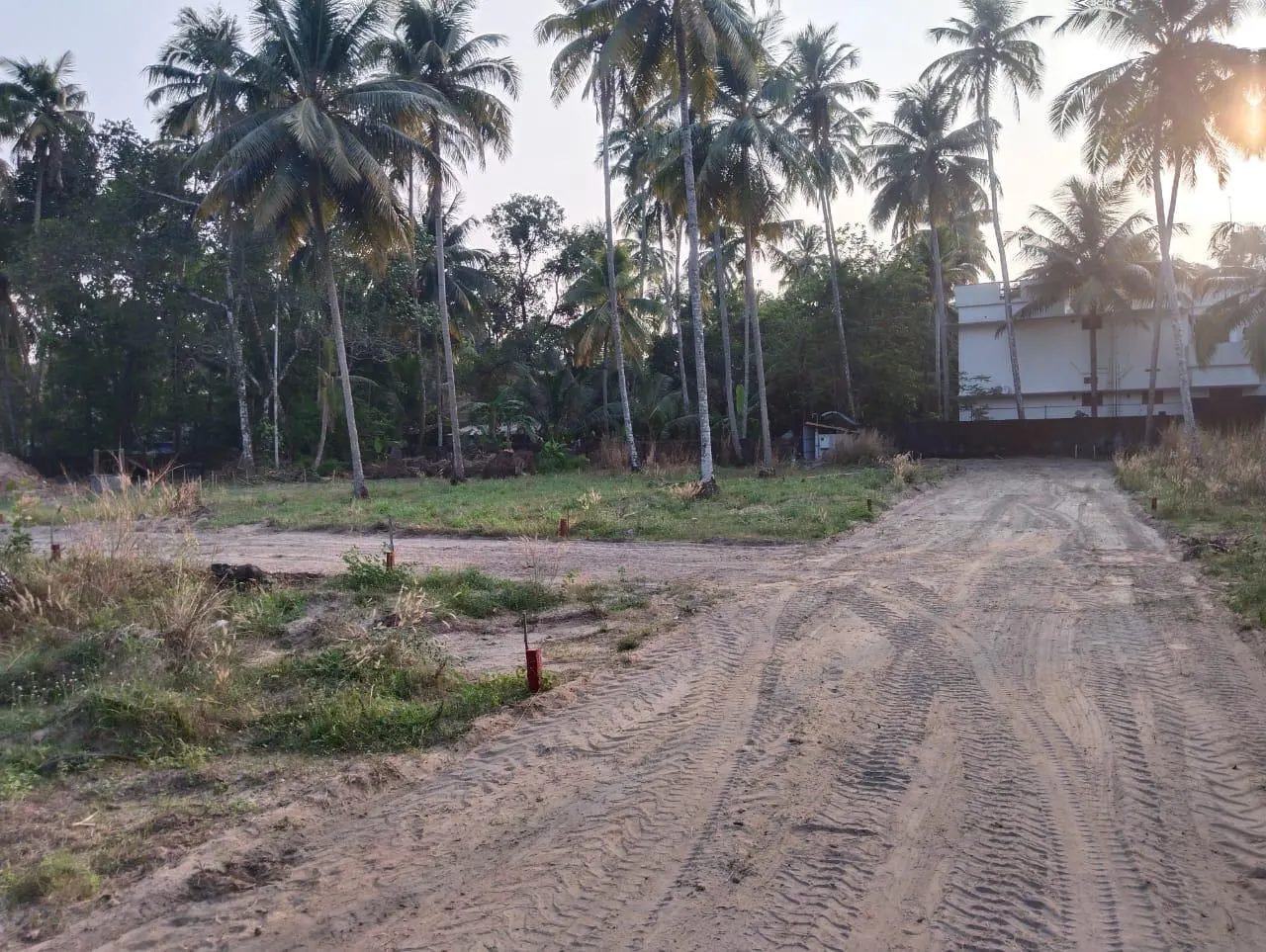 Liv Aura - Manayil Subhramanya Temple, Thrissur