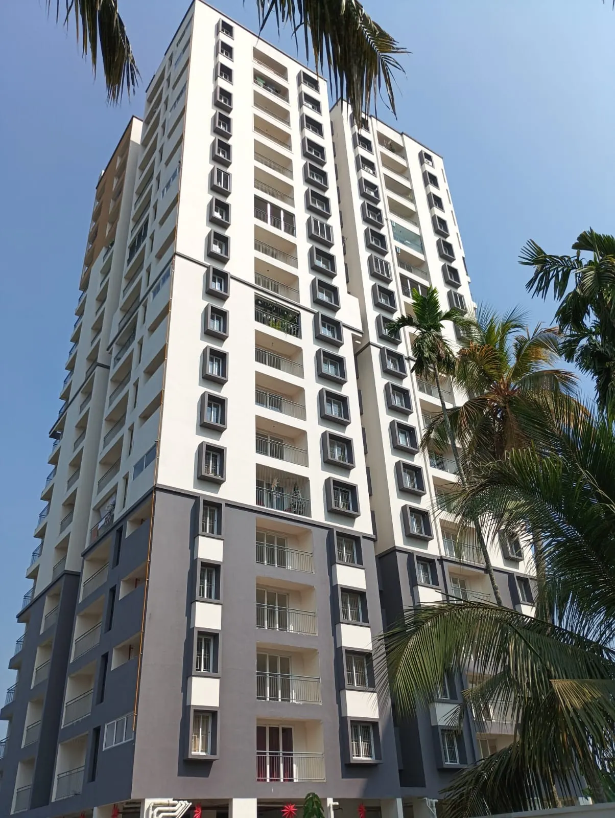 M P S Aambience - project image 4