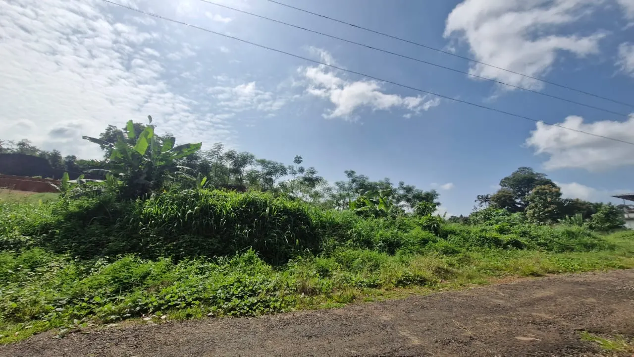 Prakriti Aavani - Kolenchery, Kochi