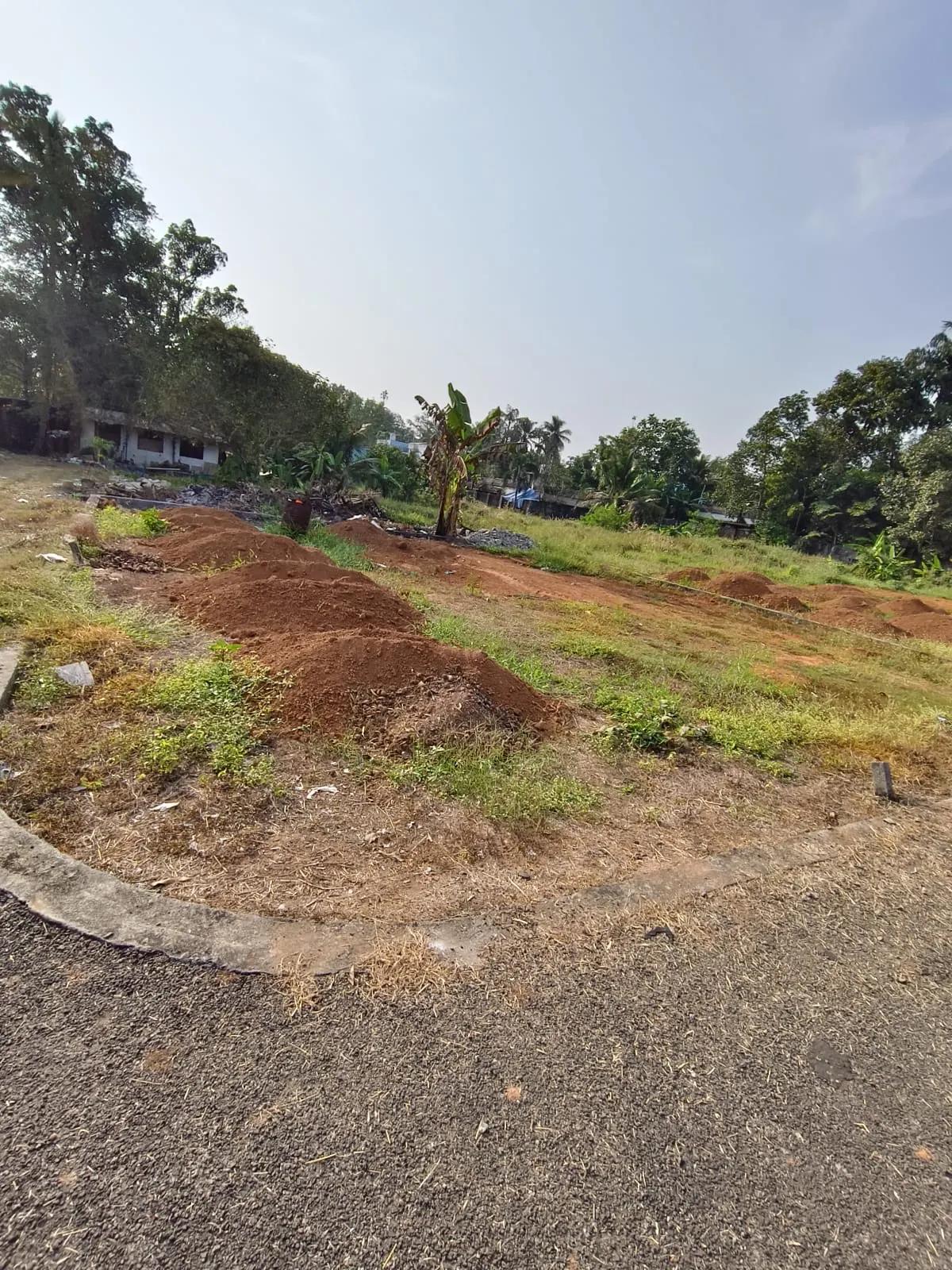 Royal Castle - Alangad, Kochi