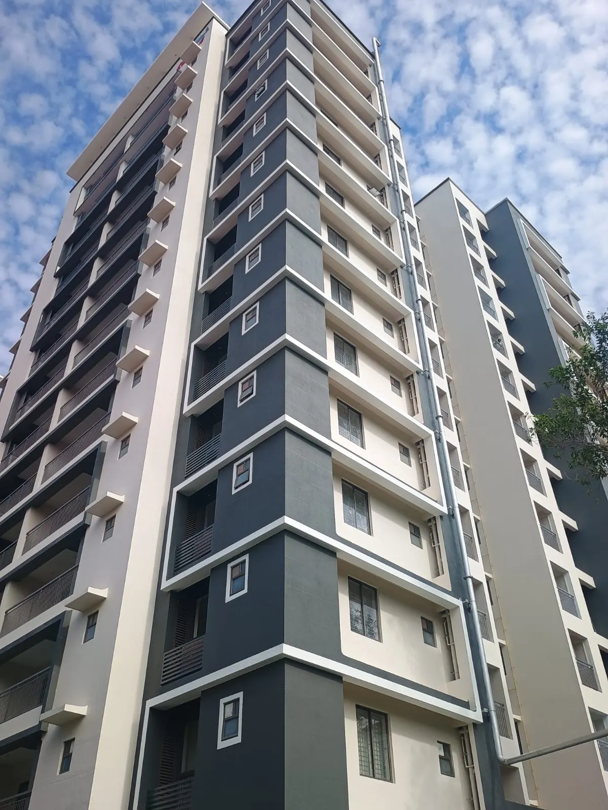 Skyline Ozone - project image 2