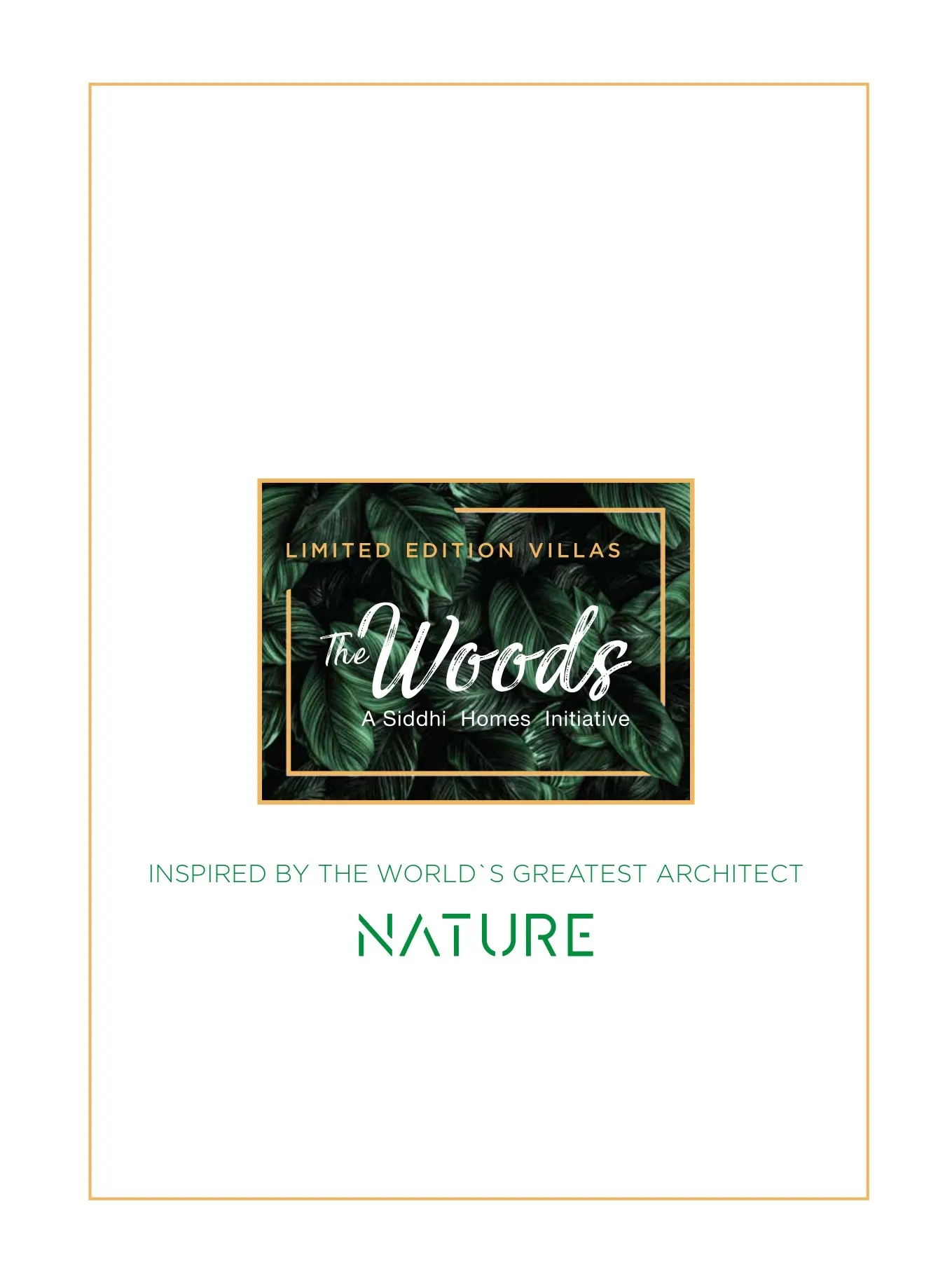 The Woods - project image 3